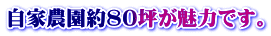 自家農園約80坪が魅力です。
